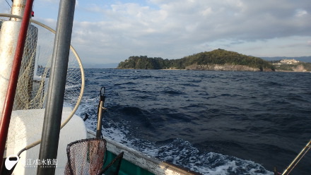 真鶴半島沖を進む