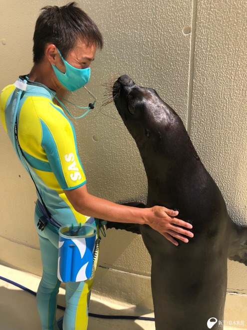 「マミ」と立ち上がり