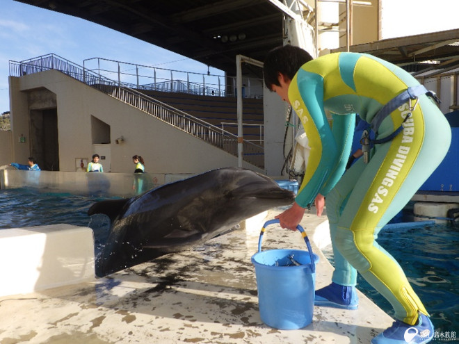 体重測定の練習をしたり