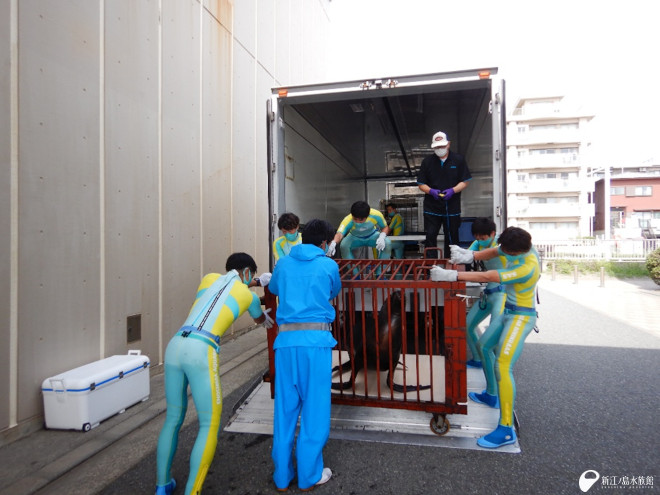 トラックへ収容する「ヤヨイ」