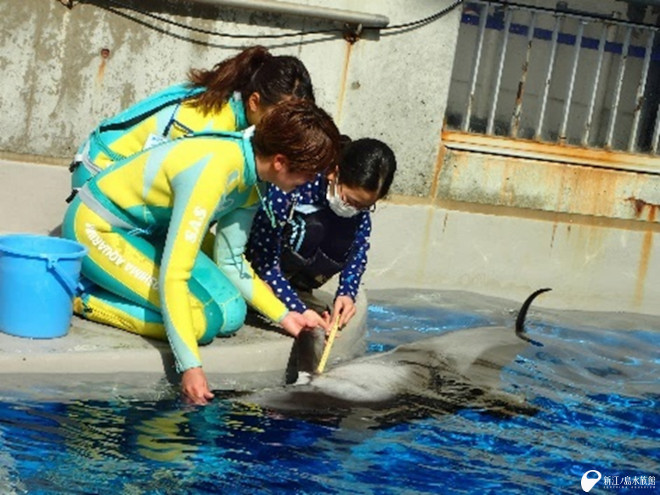 生き物を身近に感じるプログラムや展示