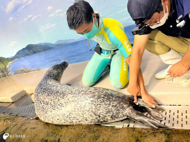 本日採血頑張った「ココ」と長野トリーターと田窪獣医