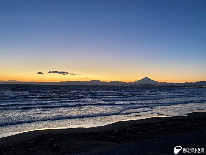 夕方のショースタジアムから撮影しました。冬限定の景色。最高です。