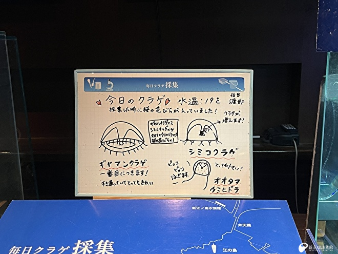 手書き解説