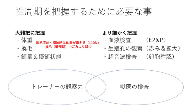 伴野式 排卵タイミング把握に必要なことメモ