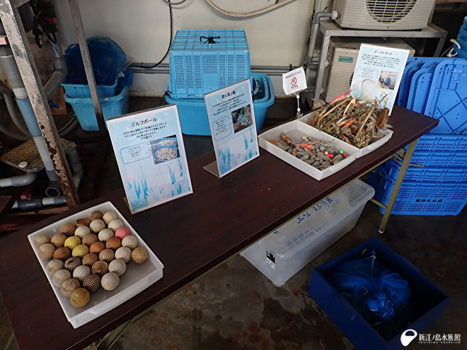 江の島の海底から拾ったごみの展示もおこなっている