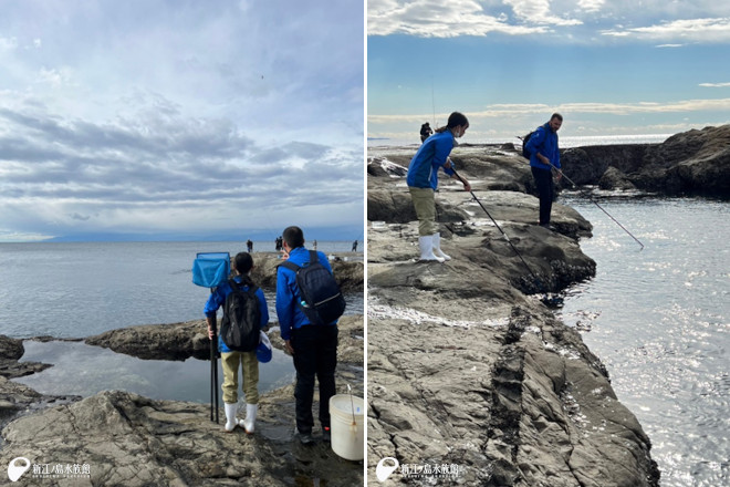 江の島の海へも採集に行きました。