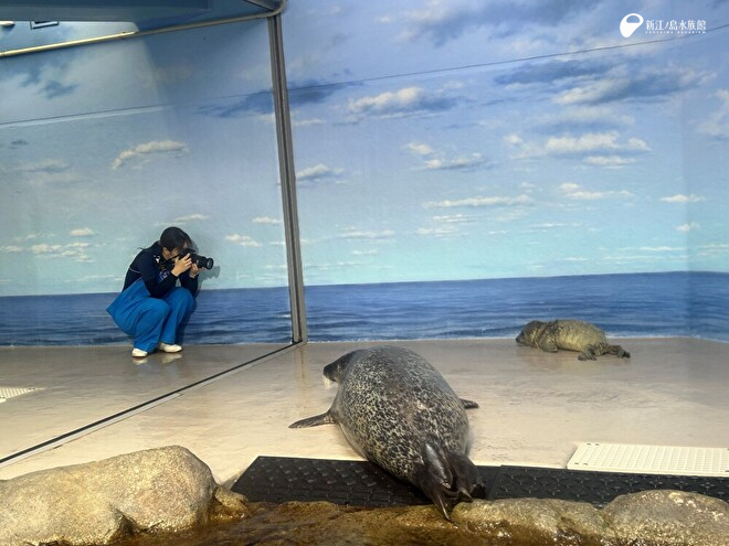 スマートフォンや一眼カメラを使って写真や動画を撮影します