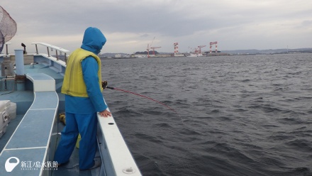 釣舟に乗って釣り採集