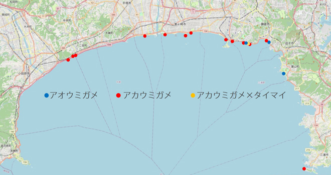 2022年ストランディングポイント