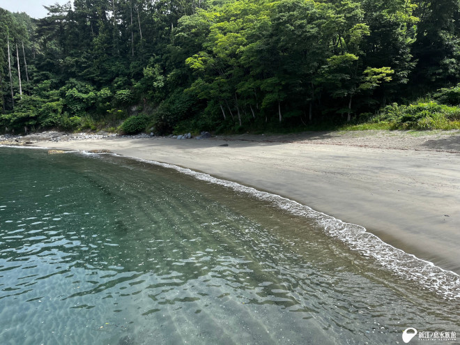 浪板海岸の真横に木々が迫る