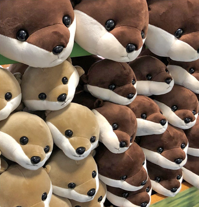 Otter Shop