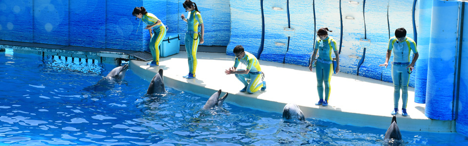 Enoshima Aquarium